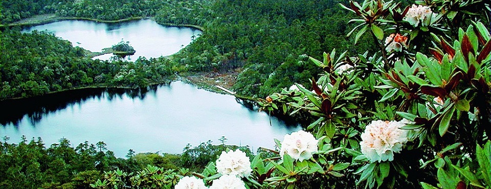 environment_asia